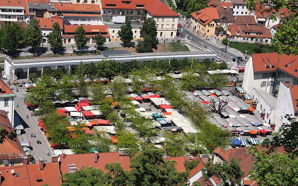 Četrtne skupnosti in participacija